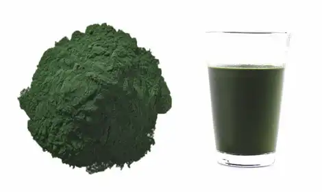 OEM/ODM Chlorella Powder: Custom Manufacturing Solutions Guide